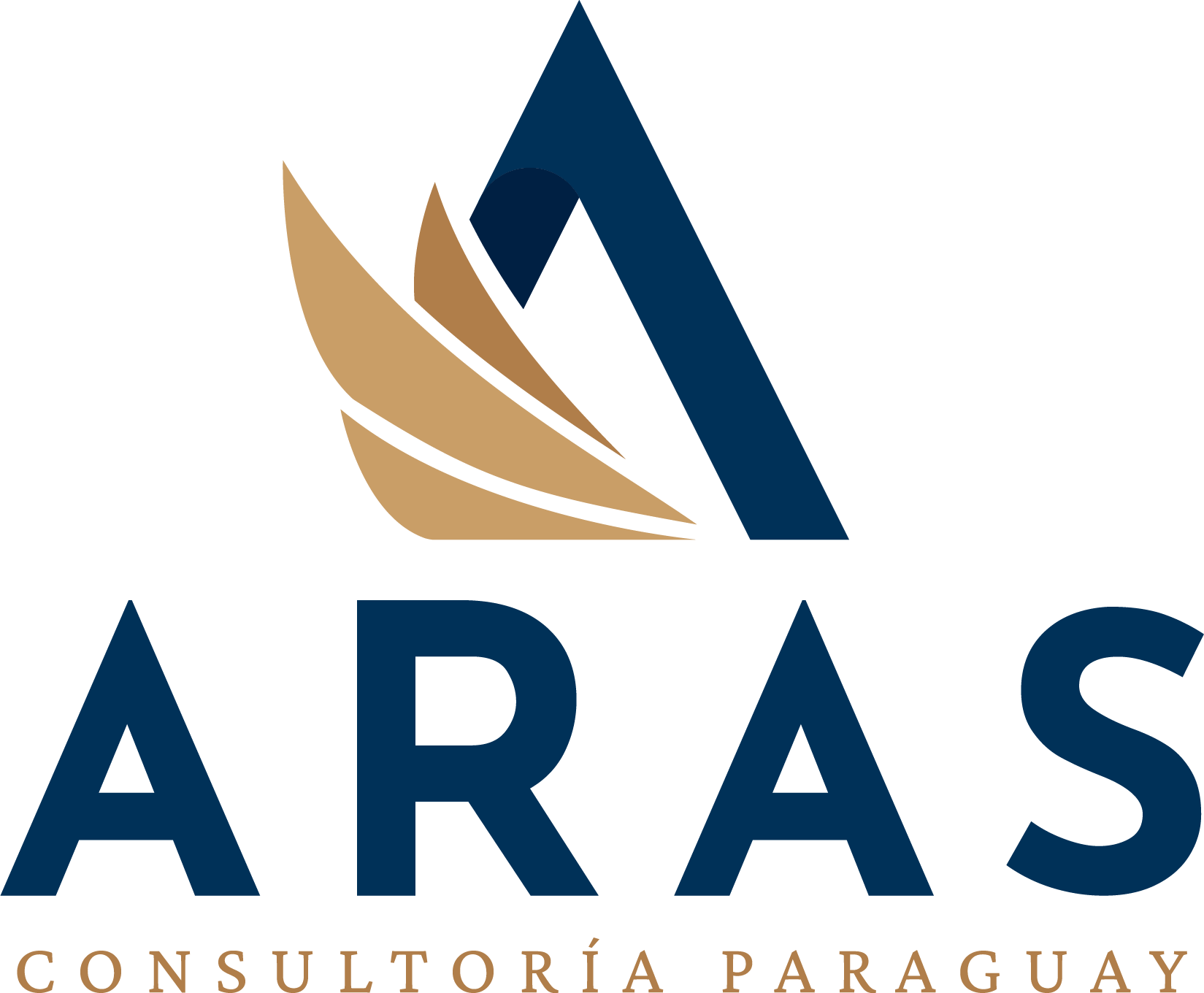 ARAS Consultoria Paraguay
